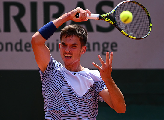 ディーノ・プリシュミッチ