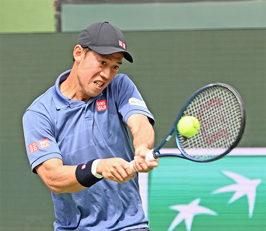 錦織圭