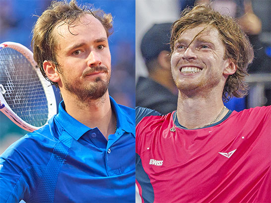 メドベージェフ、ルブレフ